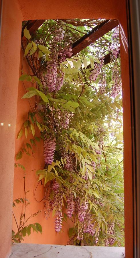 فندق Casa Satta 1925 أولبيا المظهر الخارجي الصورة