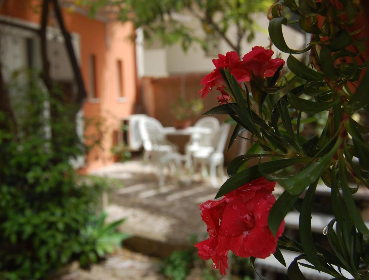 فندق Casa Satta 1925 أولبيا المظهر الخارجي الصورة